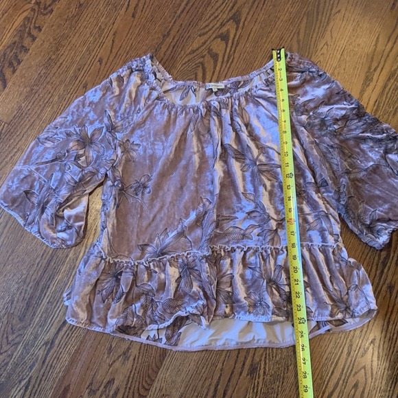 Womens Burnout Velvet Floral Peplum Top Sz L Rose Sheer Cottagecore Fairygrunge - Picture 4 of 10